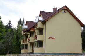 Гостиница Penzión Alfréd  Стара Любовня